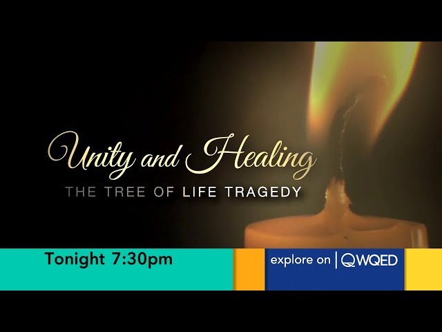 WQED LIVE STREAMING