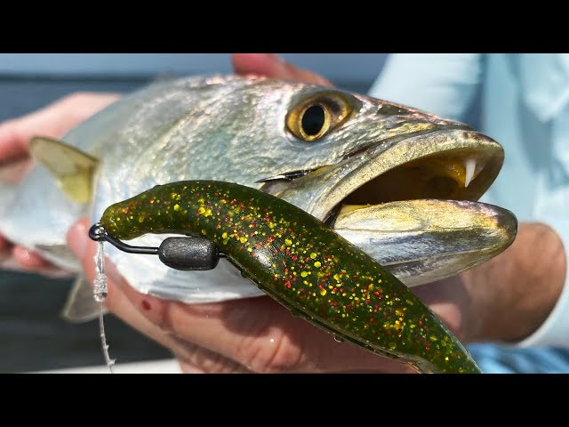 How To Rig & Retrieve Jerk Shads (For Redfish, Snook, Trout, & Flounder)
