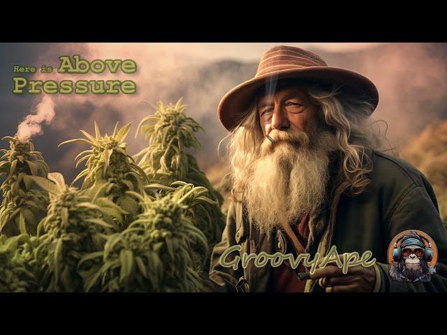 🥦🎅🏽Dub | Reggae 420 Gandalf Mix