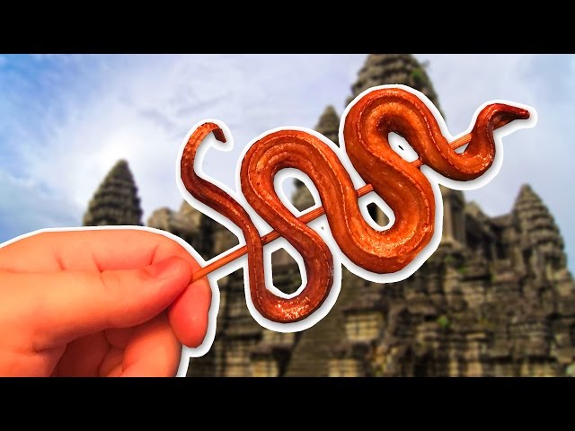 Жареная змея! Что едят в Камбодже?