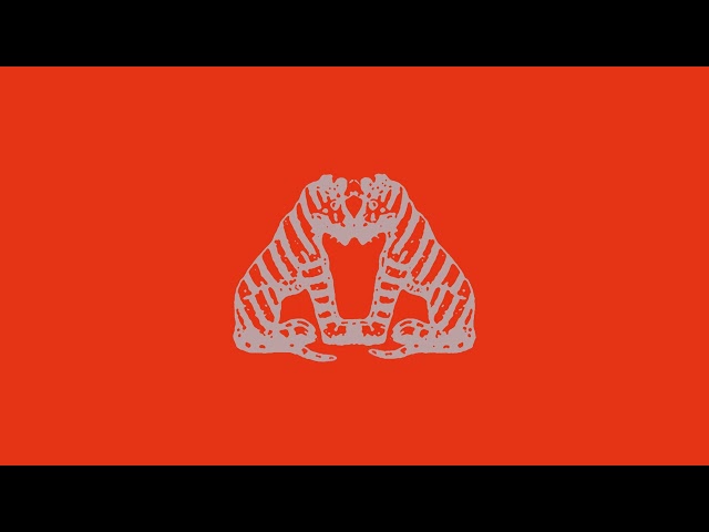 Oh Wonder - Little Tigers (Visualiser)