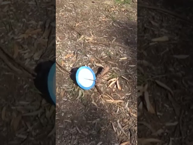 Eagle McMahon Is Very Good At Disc Golf