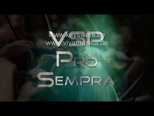 VSP Pro SEMPRA - Installation und Dateninfo (VSP-Software für die Böhm-Orgel SEMPRA von Viva Musica)