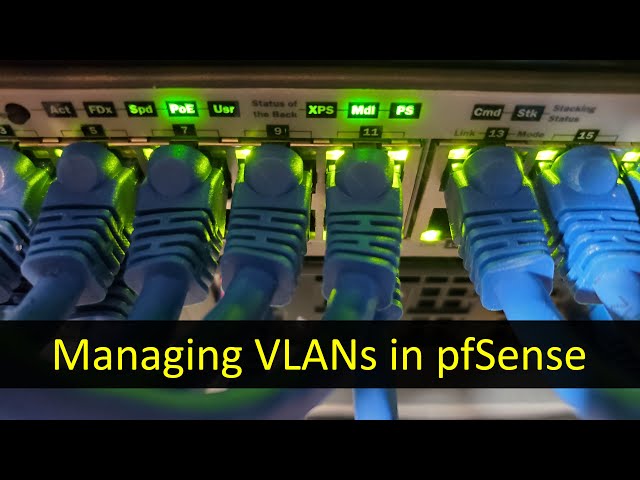 Easy VLAN Configuration in PFSense with DHCP, Firewall, and Switch Examples