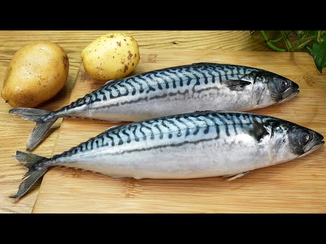 Japanese fish recipe that will amaze everyone! How to cook delicious potatoes in the oven. ASMR