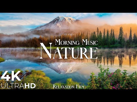 Morning 4K Nature Relaxation Film - Meditation Relaxing Music