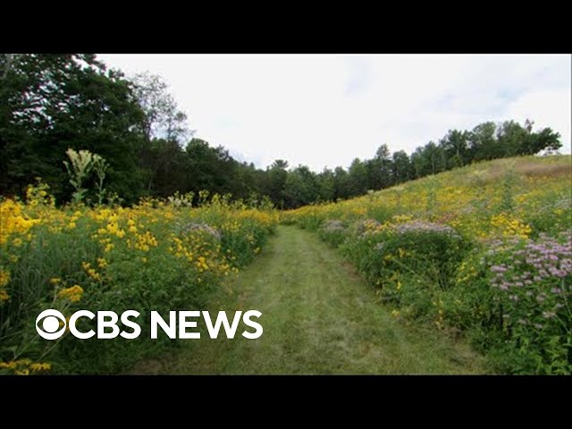 On the Road with Steve Hartman: Amazing Earth
