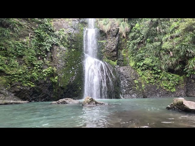 4k Beautiful waterfall 💦 with real nature sound🌿
