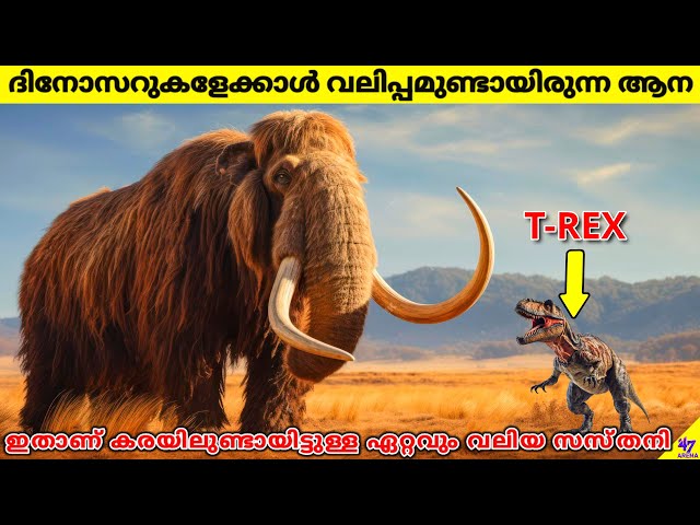 Largest Land Mammal Ever Lived On Earth Was Bigger Than Dinosaurs | Facts Malayalam | 47 ARENA