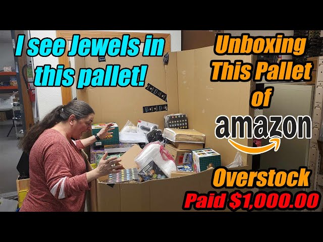 Unboxing a pallet of Amazon overstock and we found Jewels, Pet items, Gnomes and more!