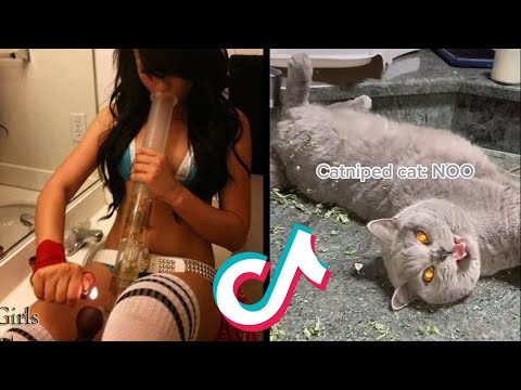 HAPPY 420 ! People & Animals HIGH on TikTok CELEBRATING 420 Getting HIGH and SMOKING WEED