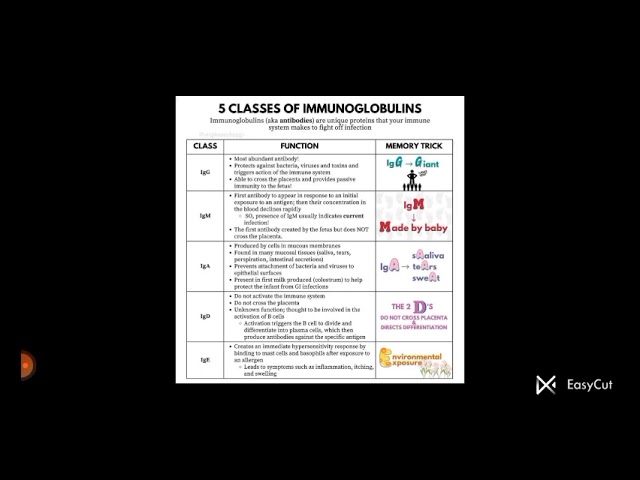 5 Classes of Immunoglobulins by Shamli