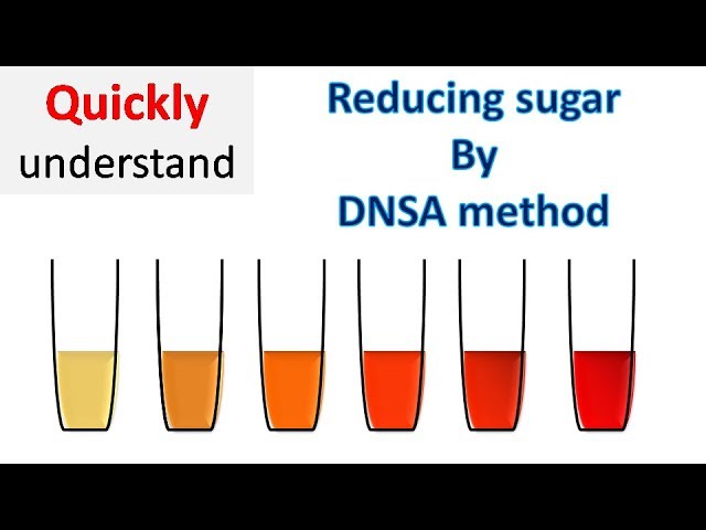 Reducing sugar by DNS method | 3, 5 Dinitrosalicylic acid (DNSA) method
