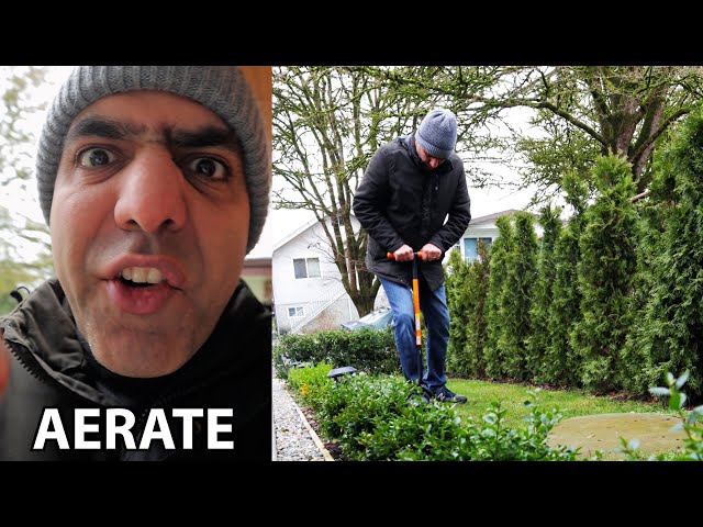 Aerate Your Lawn! #shorts