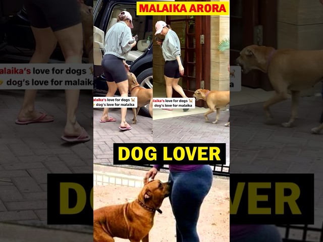 Malaika Arora Dog Love | Malaika Arora showers love on stray Dog #malaikaarora