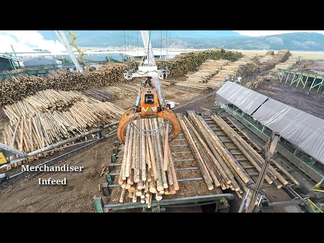 Logs to Lumber - An aerial journey through the sawmill