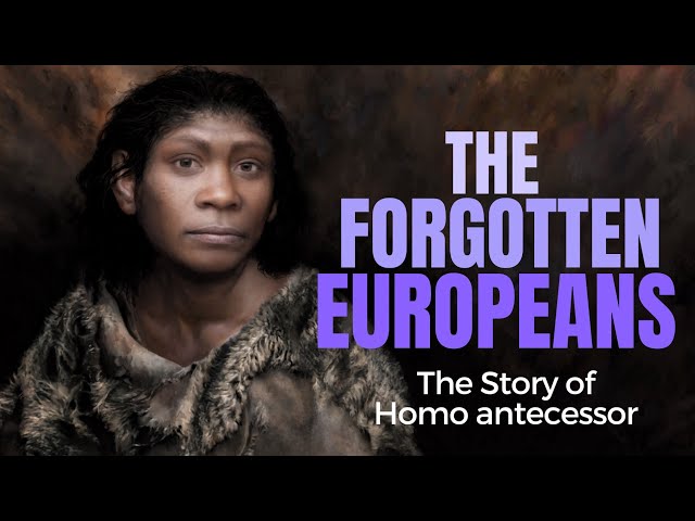 Homo antecessor - the Forgotten Europeans ~ with MARIO MODESTO-MATA