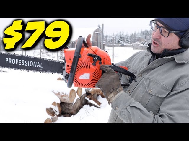 TESTING The Cheapest Chainsaw on Amazon