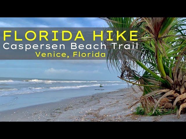 Florida Hike / Trail | Beautiful Hike Near Venice Florida