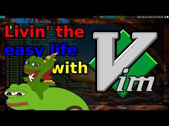 How vim Makes my Daily Life Easier