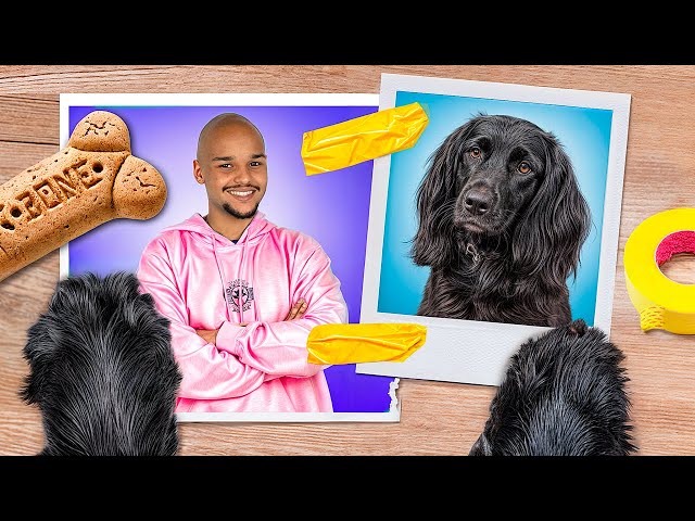 My Dog is Missing! Ways to Sneak Pets from Jail!