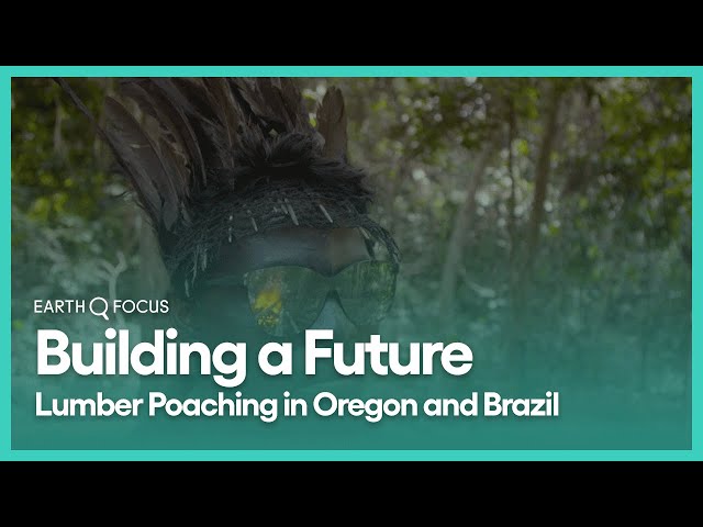 Building a Future: Lumber Poaching in Oregon and Brazil | Earth Focus | Season 2, Episode 3 | KCET