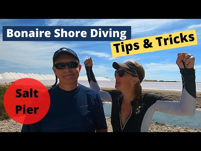 Bonaire Shore Diving Tips & Tricks - Salt Pier