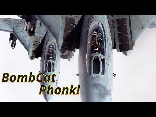 Bombcat Phonk!