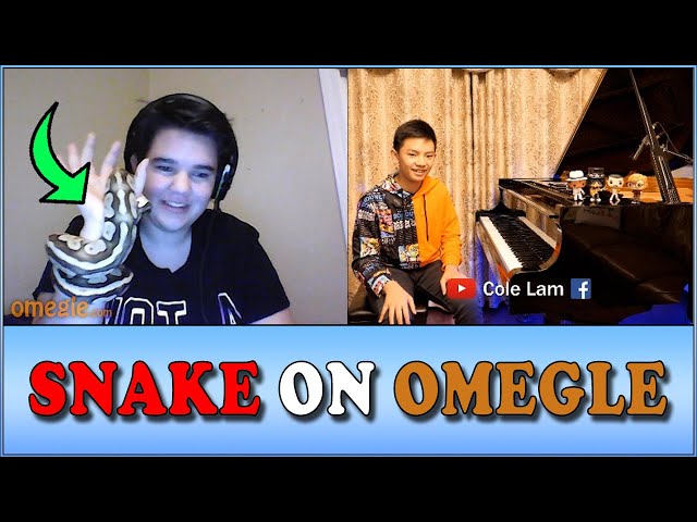 Snakes on A Plane? Snakes on Omegle! | Cole Lam 13 Years Old