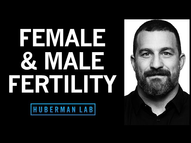 How to Optimize Fertility in Males & Females | Huberman Lab Podcast