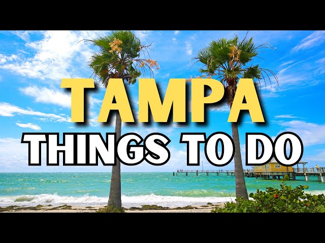 The 40 BEST Things To Do In Tampa, Florida | Tampa Bay Things To Do