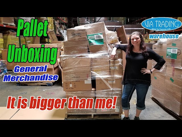 Pallet Unboxing - General merchandise - Via Trading Warehouse - Will I be able to make Money?