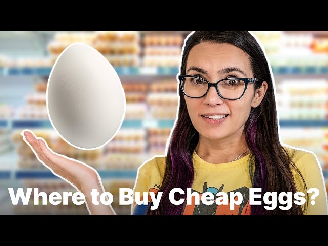 Why Are Eggs So Expensive?!