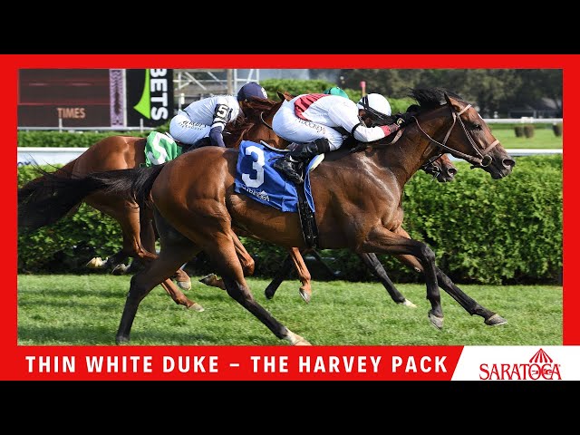 Thin White Duke - 2023 - The Harvey Pack