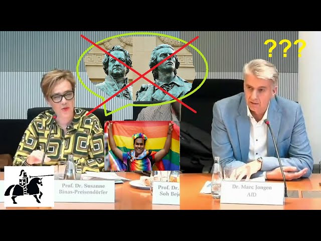 SKANDAL im Ausschuss: Goethe / Schiller nicht divers genug!!!