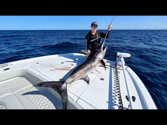 28’ Hybrid Freeman - Swordfishing 30 miles from land! (Catch/Clean/Cook)