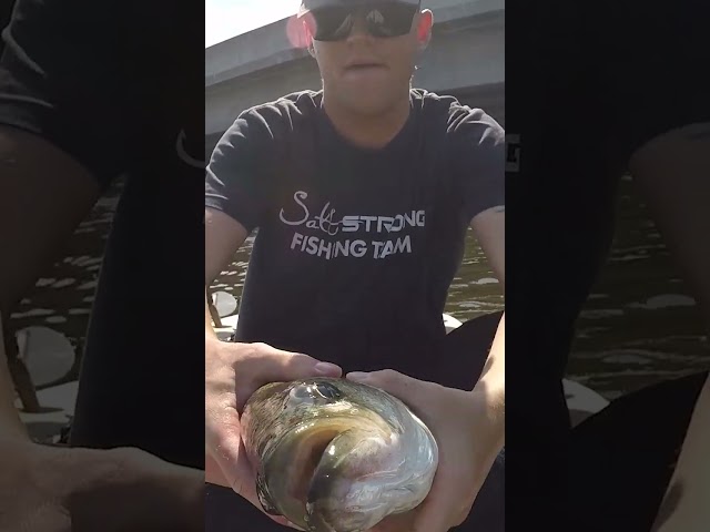 A Broken Pedal-Drive Didn't Stop Me From Catching Striped Bass!