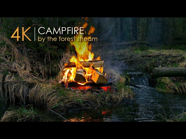 Campfire by the Stream 🔥 Natural Sounds & Relaxing Mood