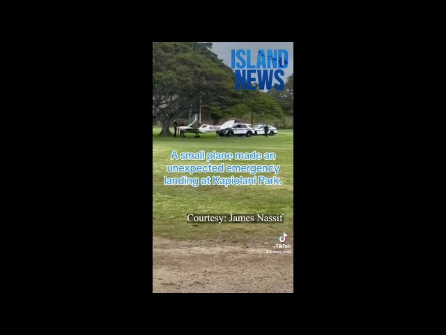 Plane makes unexpected emergency landing at Kapiolani Park