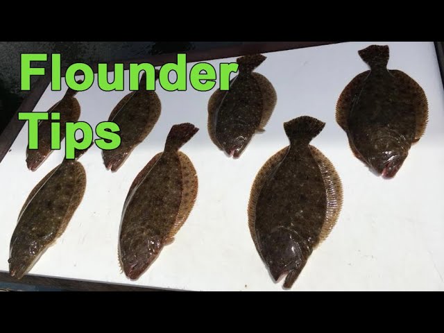 How To Catch More Flounder (In All 4 Seasons w/ Capt. Jot Owens)