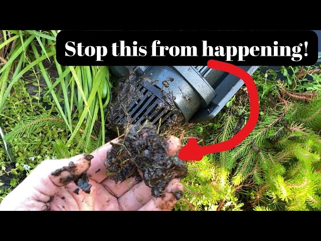 How do you stop a pond pump from getting clogged?