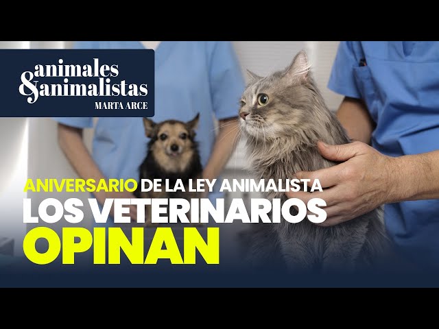 El presidente de los veterinarios: "La ley salió a empujones"