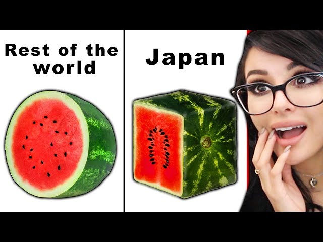 THINGS THAT ONLY EXIST IN JAPAN