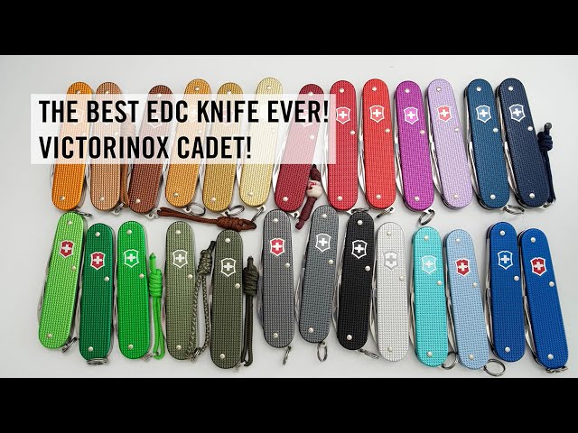 The BEST EDC Knife EVER! Victorinox Cadet!