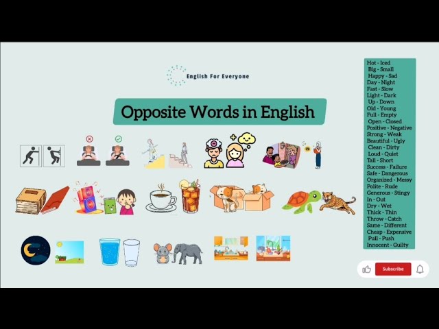 Opposite Words in English (with Examples )- Antonyms