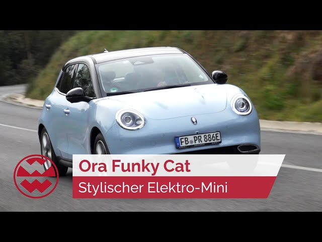 Ora Funky Cat: Wie gut ist das coolste Elektro-Auto? - World in Motion | Welt der Wunder