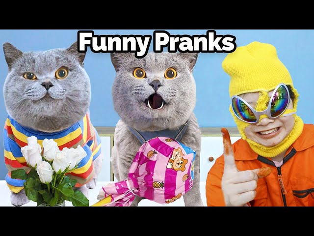 Laugh And Cry With My Wonderful Videos!😺✨| Oscar‘s Funny World | New Funny Videos 2024