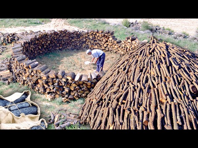 The CHARCOAL. Transformation of 10,000 kg of firewood into VEGETABLE CHARCOAL in nature