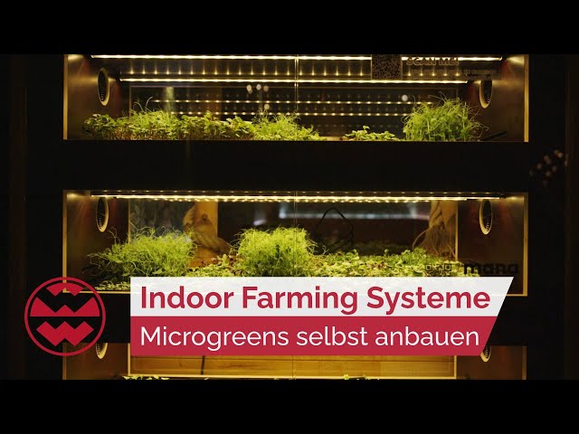 Indoor Farming Systeme: Microgreens selbst anbauen - Green Life | Welt der Wunder