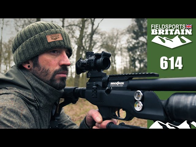 Fieldsports Britain – airgun rabbit hunt and cook
